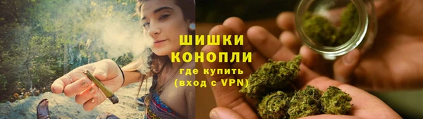 стафф Зерноград