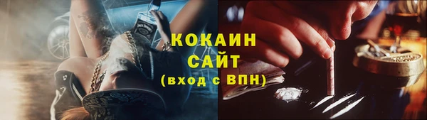 стафф Зерноград