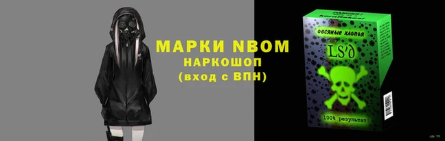 стафф Зерноград