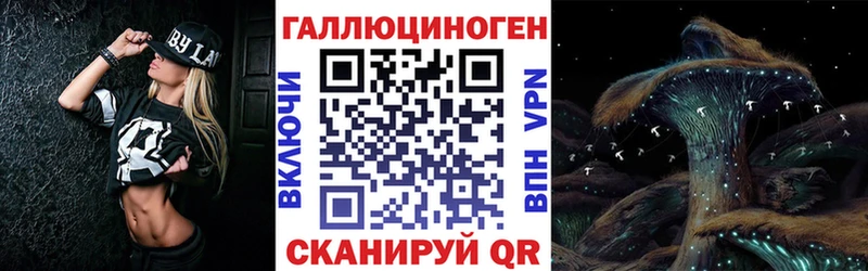 Псилоцибиновые грибы Psilocybine cubensis Находка