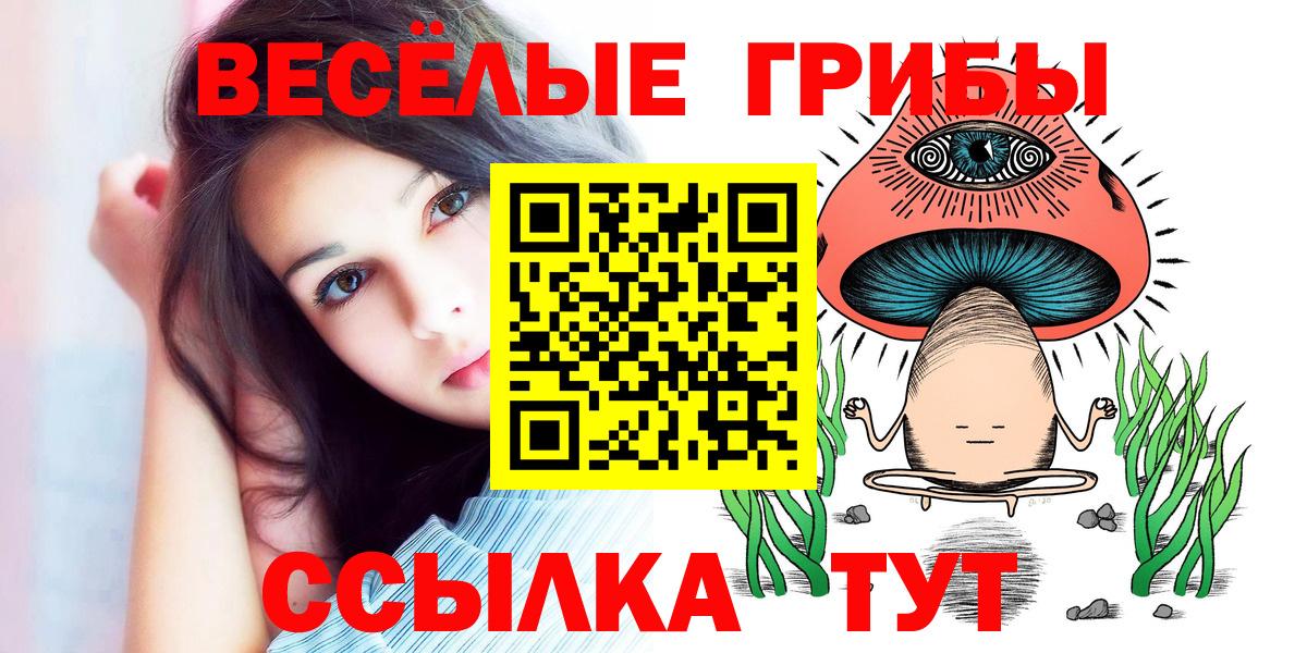 Псилоцибиновые грибы Magic Shrooms  Вход с VPN  Находка  Галлюциногенные грибы ЛСД 