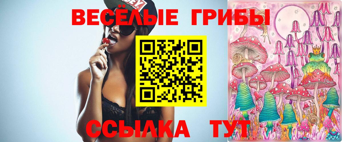 Псилоцибиновые грибы Cubensis Находка