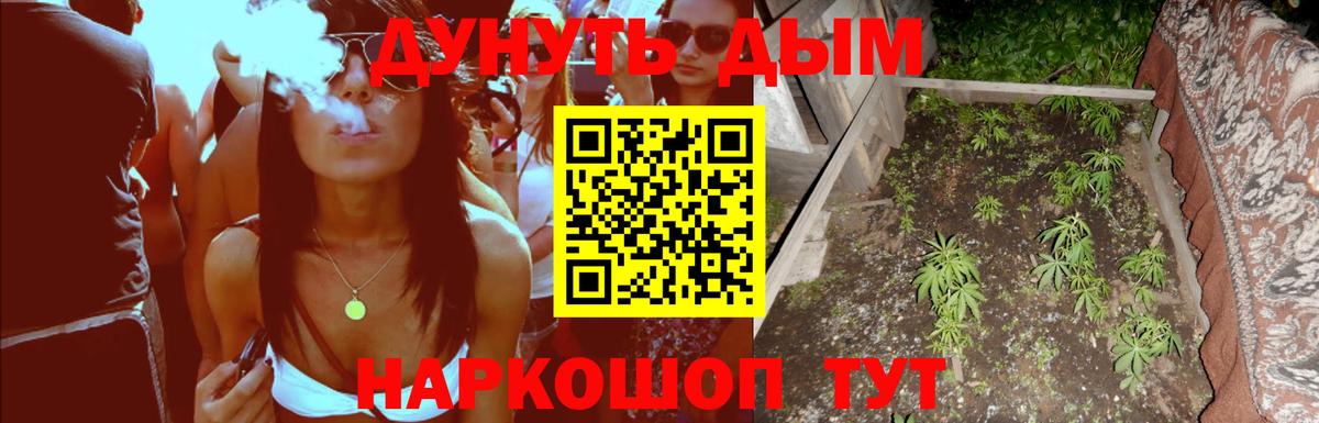 Бошки Шишки индика  Бошки Шишки White Widow  Находка  Бошки марихуана Ganja  Вход с VPN 