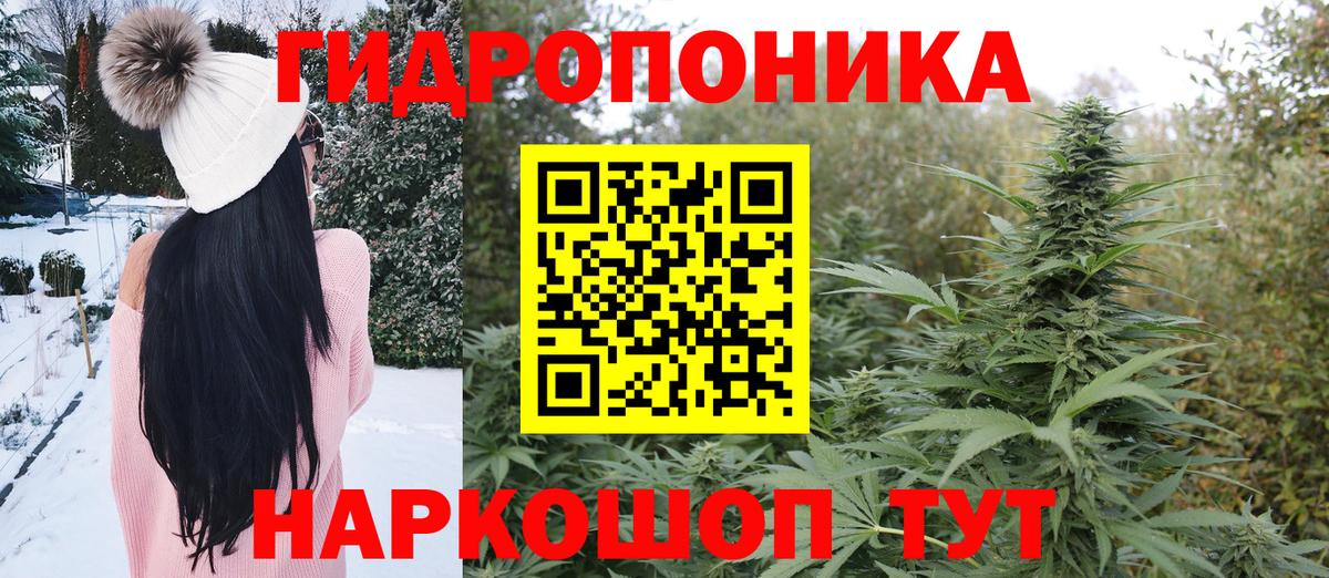 Шишки марихуана AK-47 Находка